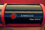 Rinspeed BamBoo 2010 года